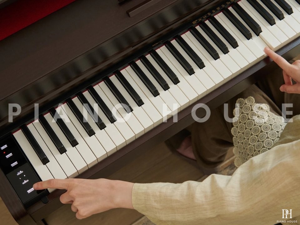 Casio AP-300BN