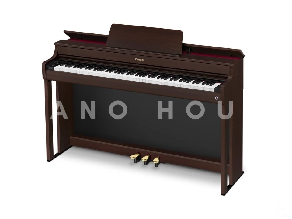 Casio AP-300BN