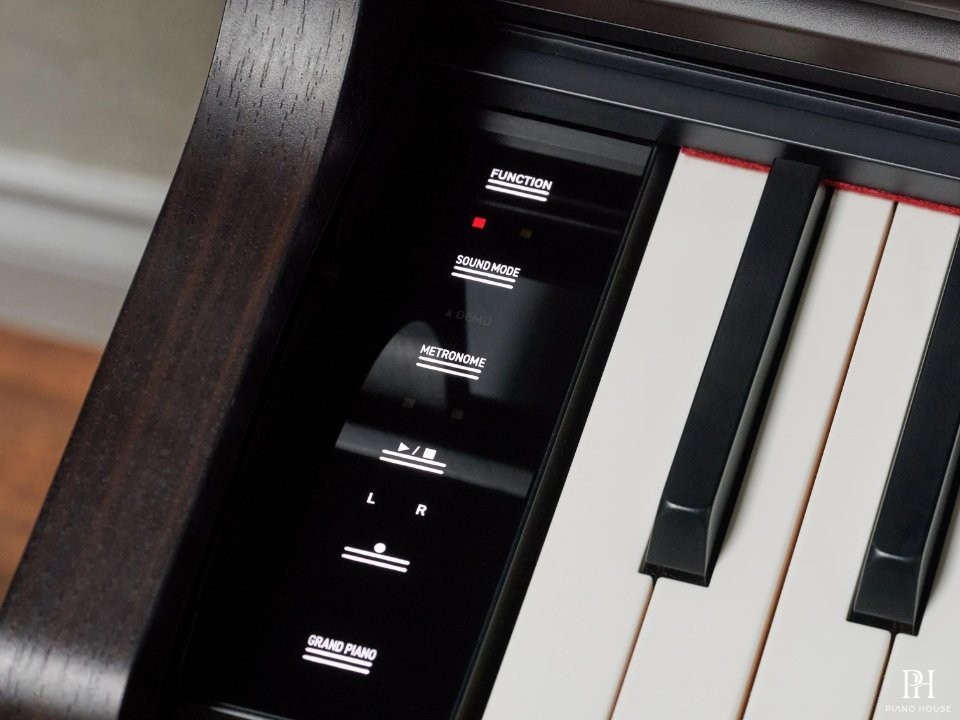 Casio AP-550 Rosewood (R)