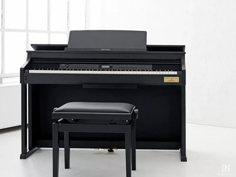 CASIO AP-710