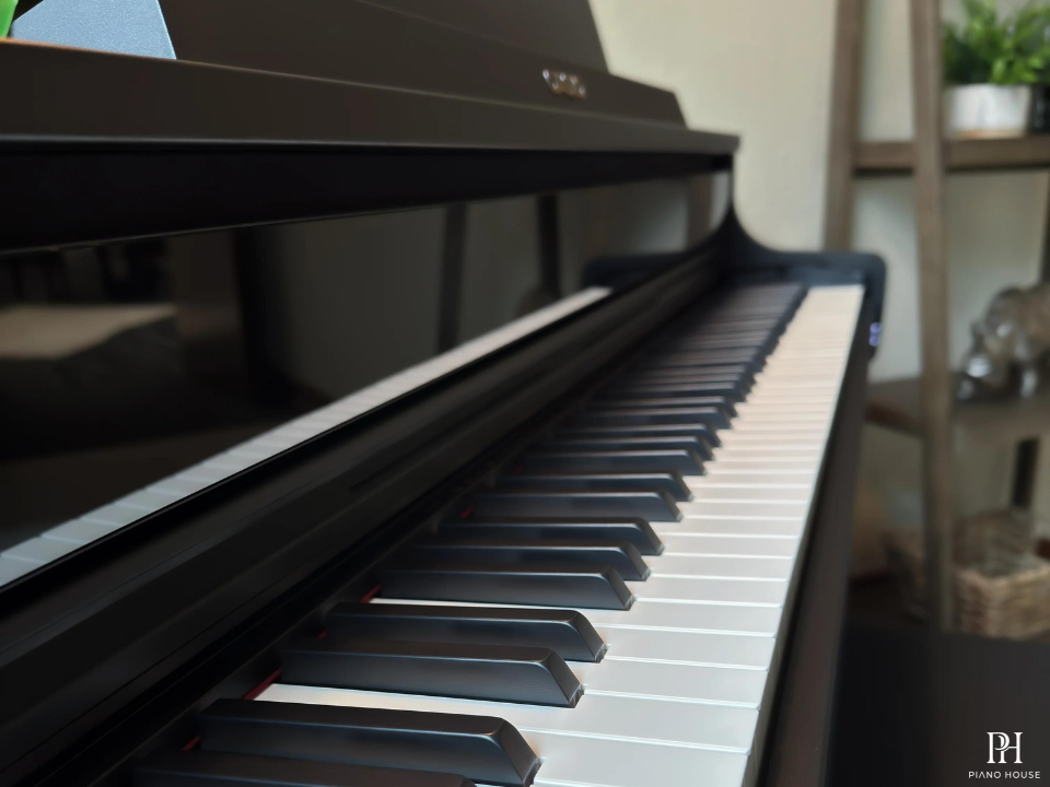 Casio AP-750 Black (BK)