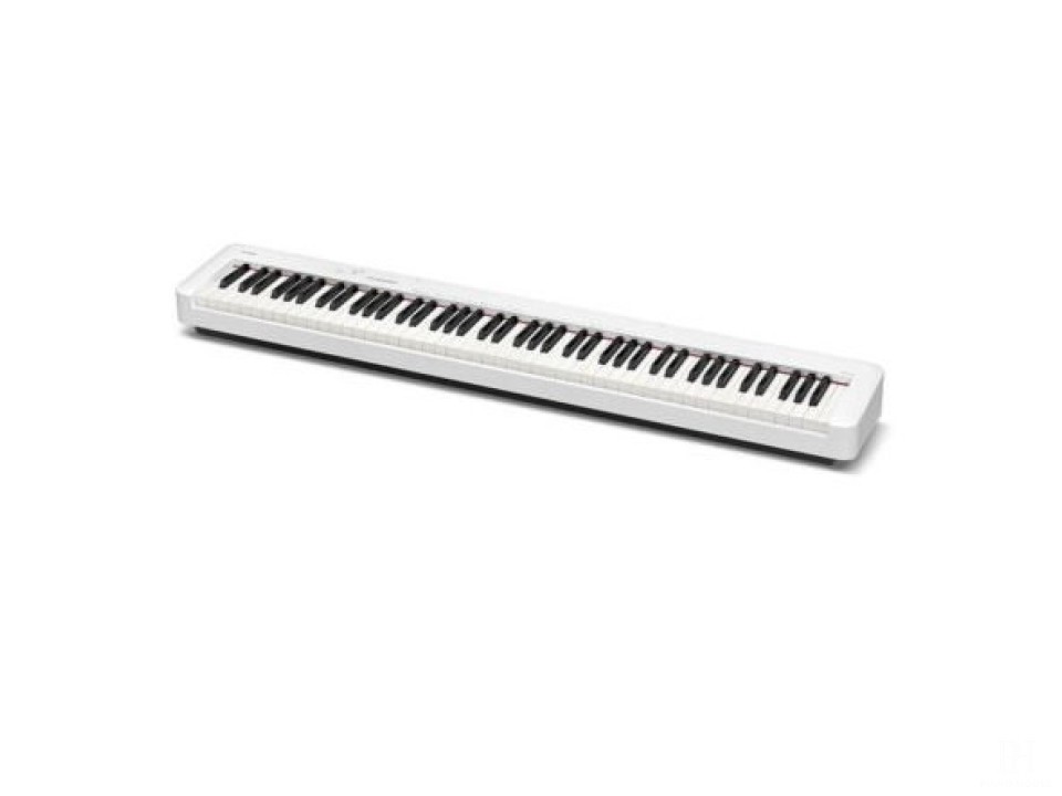 CASIO CDP-S110