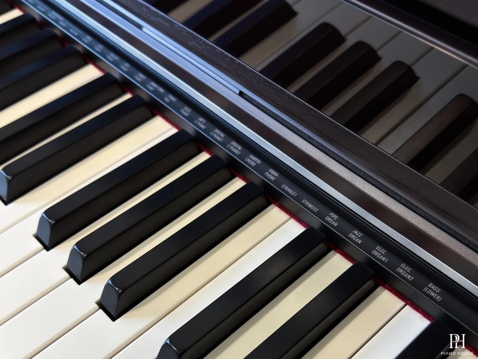 Casio AP-S450 Rosewood (R)