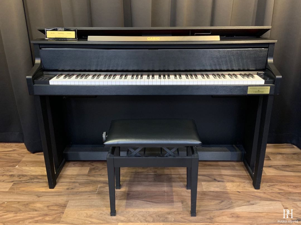 CASIO GP-300