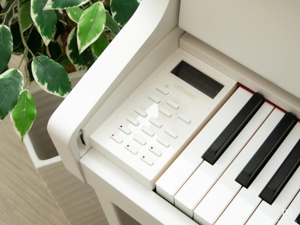 CASIO GP-310 WE