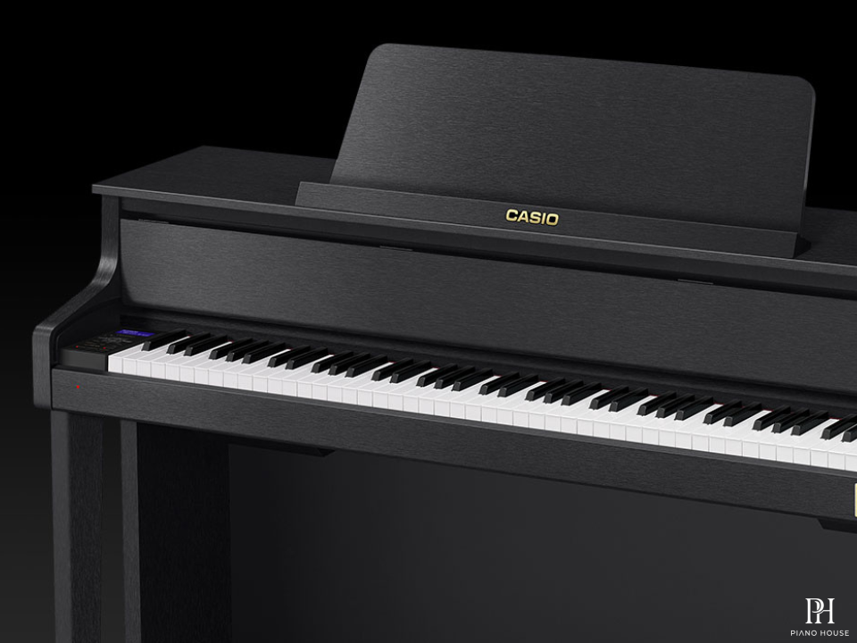 CASIO GP-310 BK