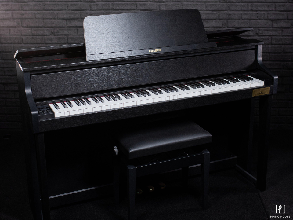 CASIO GP-310 BK