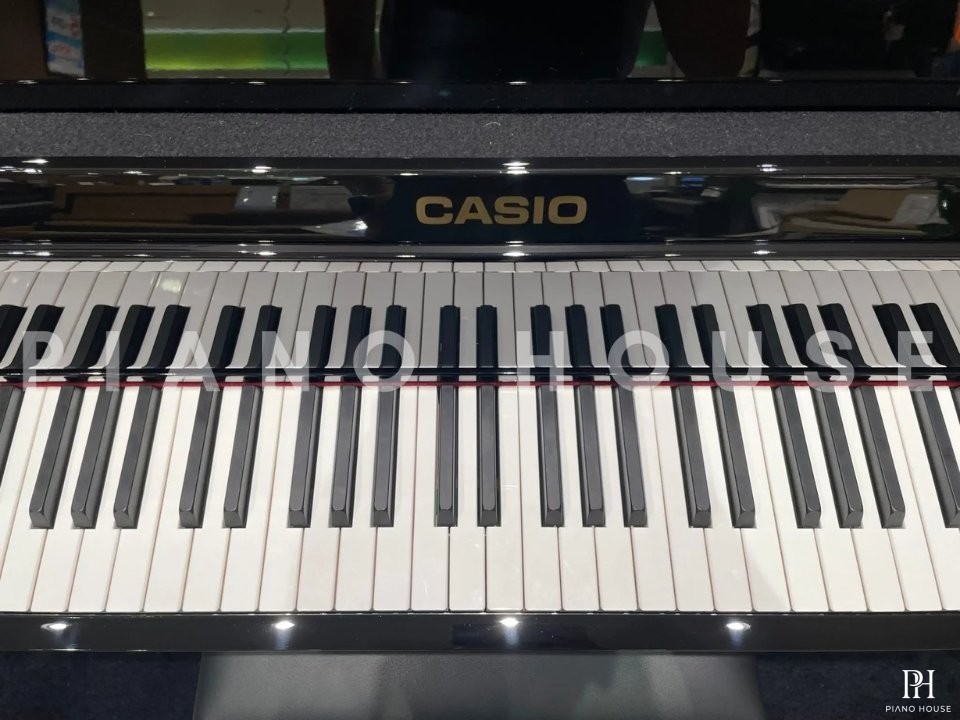 CASIO GP-1000 PE (USED)