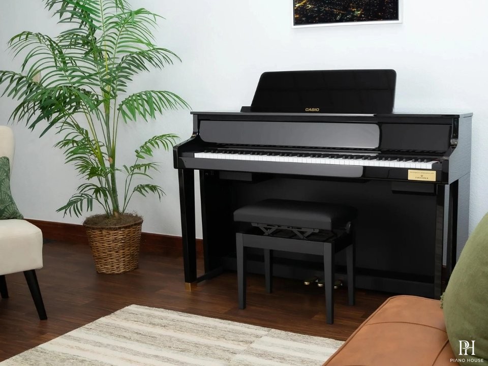 CASIO GP-510