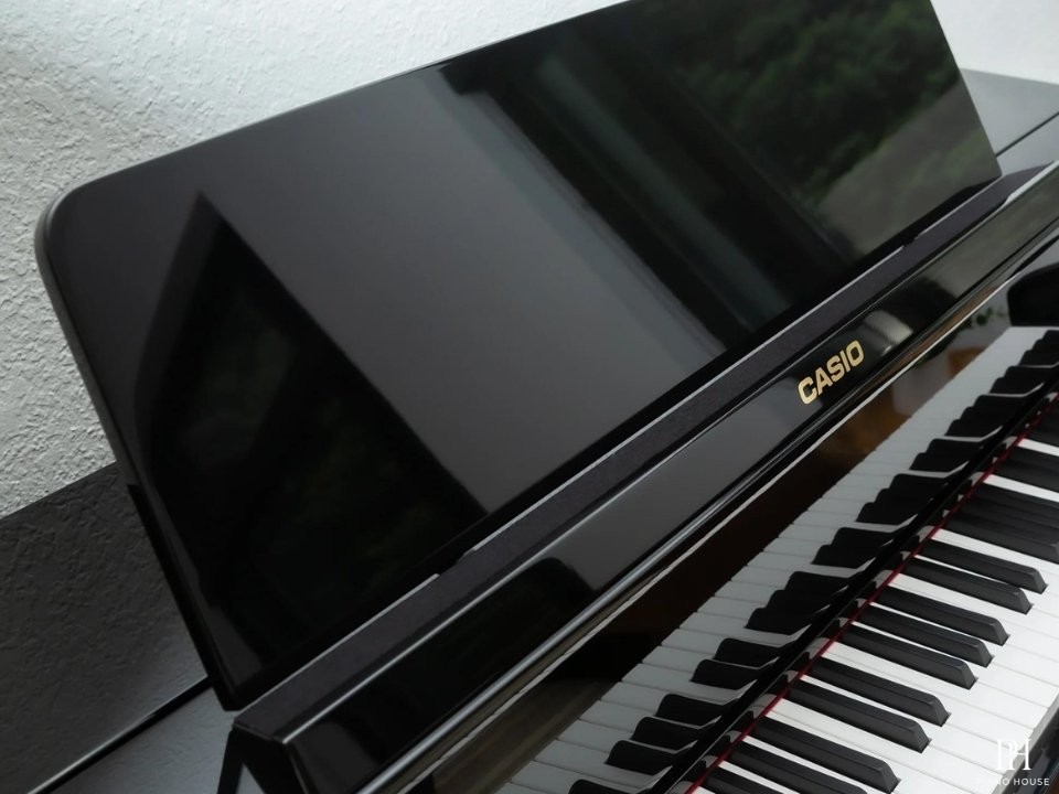 CASIO GP-510