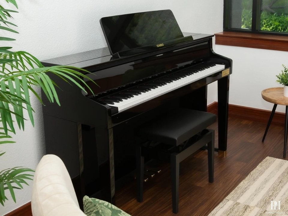 CASIO GP-510