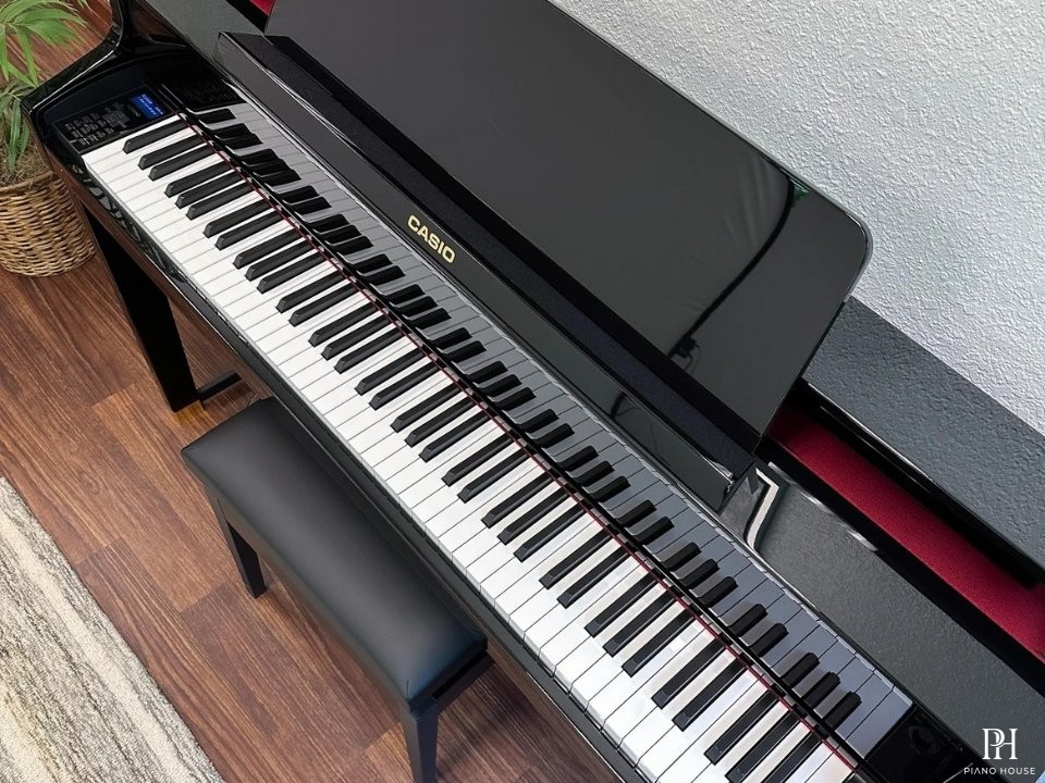 CASIO GP-510