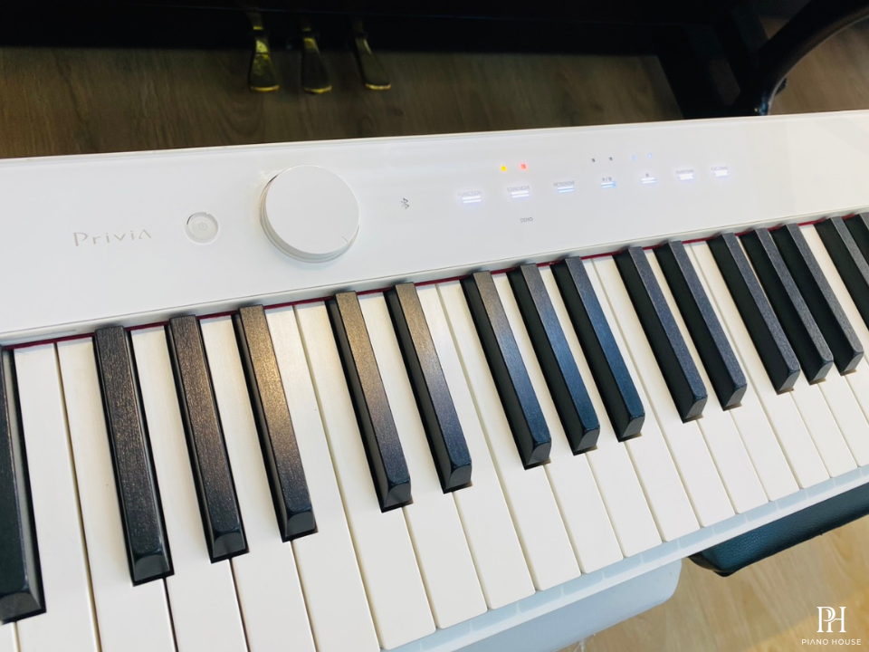 CASIO PX-S1000