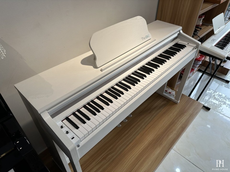 Piano Digital The ONE X100