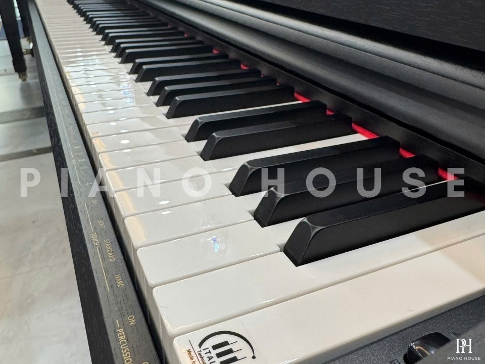 Piano Flykeys FDP3 R