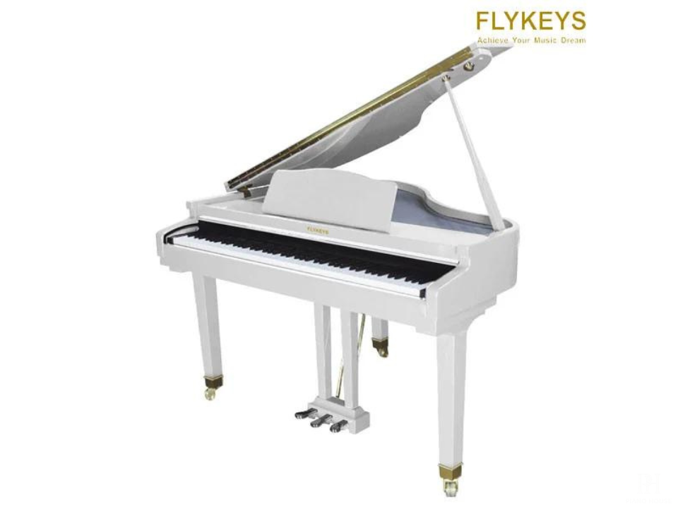 Piano Flykeys FGP110