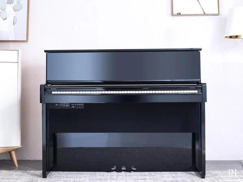 Piano Flykeys FK830