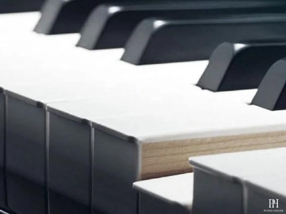 Piano Flykeys FK830