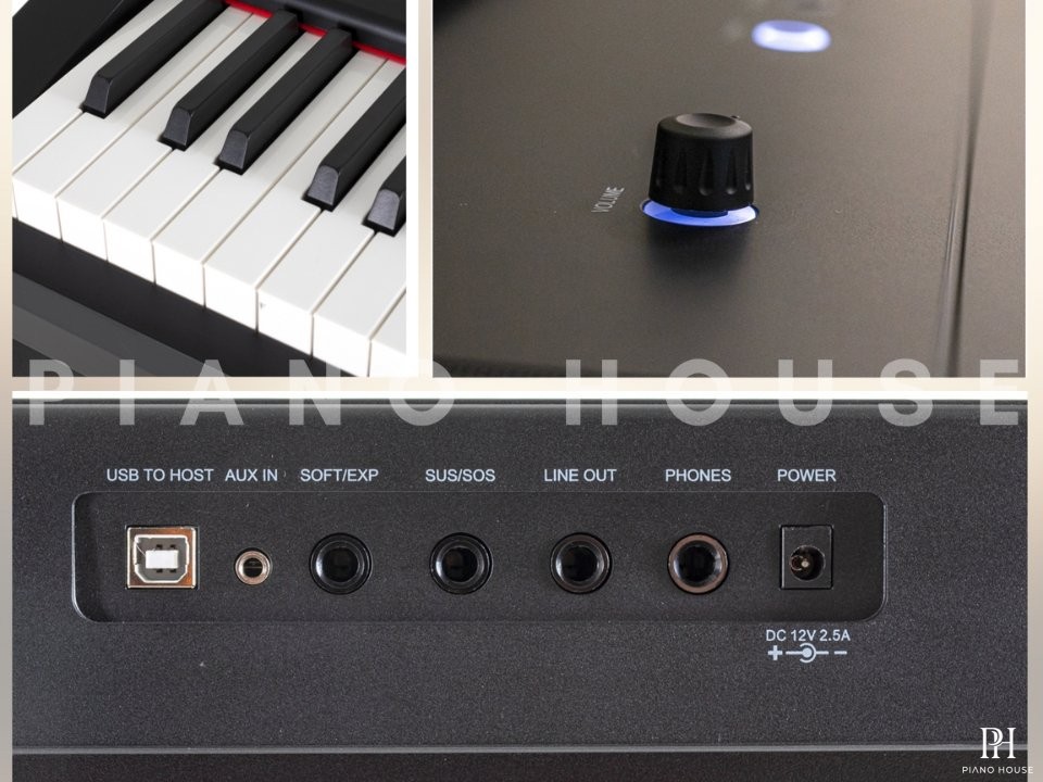 Gewa PP3 (Portable Piano)