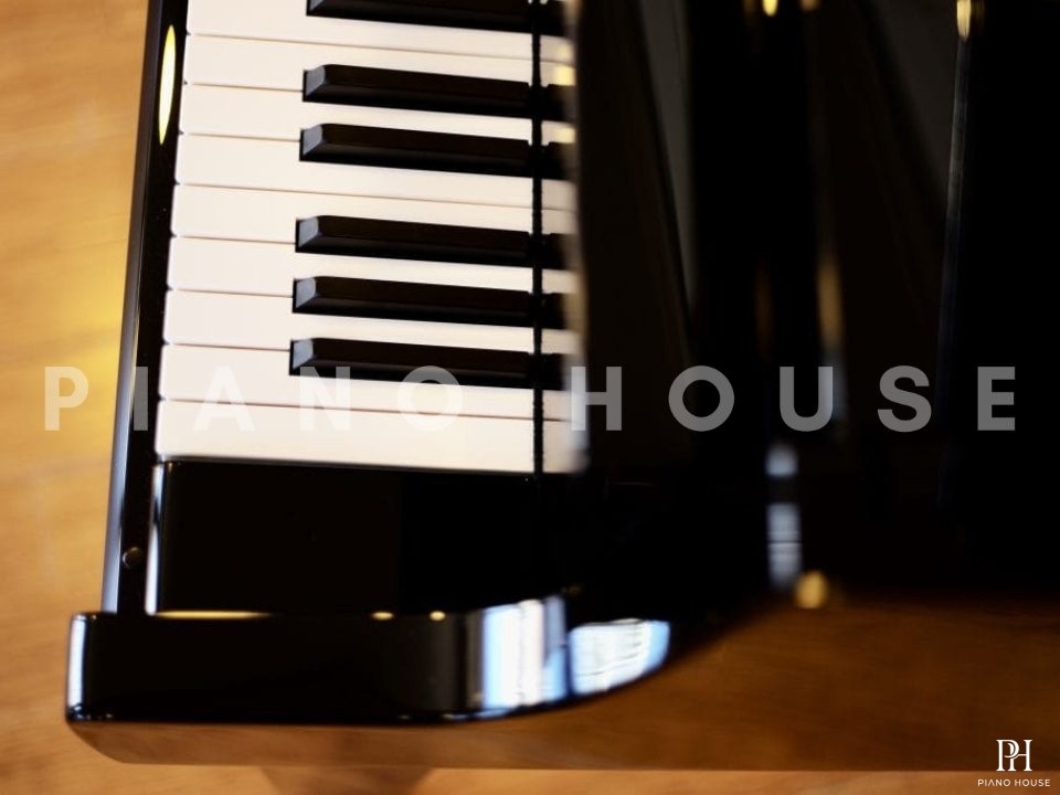 KAWAI Novus NV12