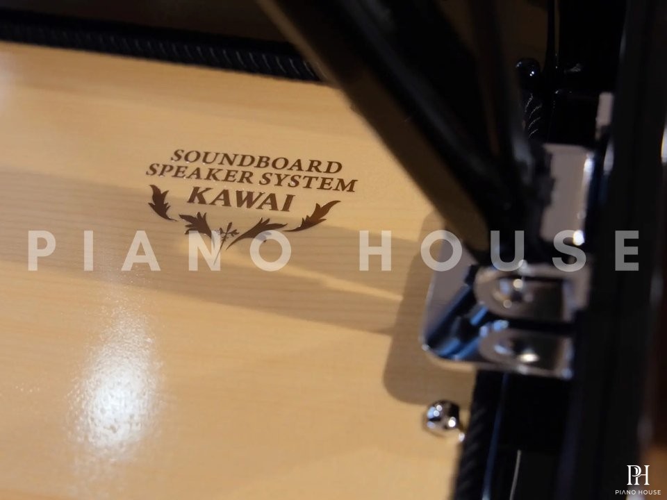 KAWAI Novus NV12