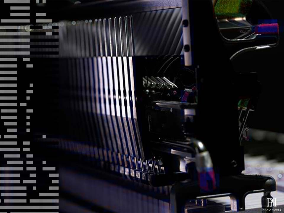 KAWAI NV5S Hybrid