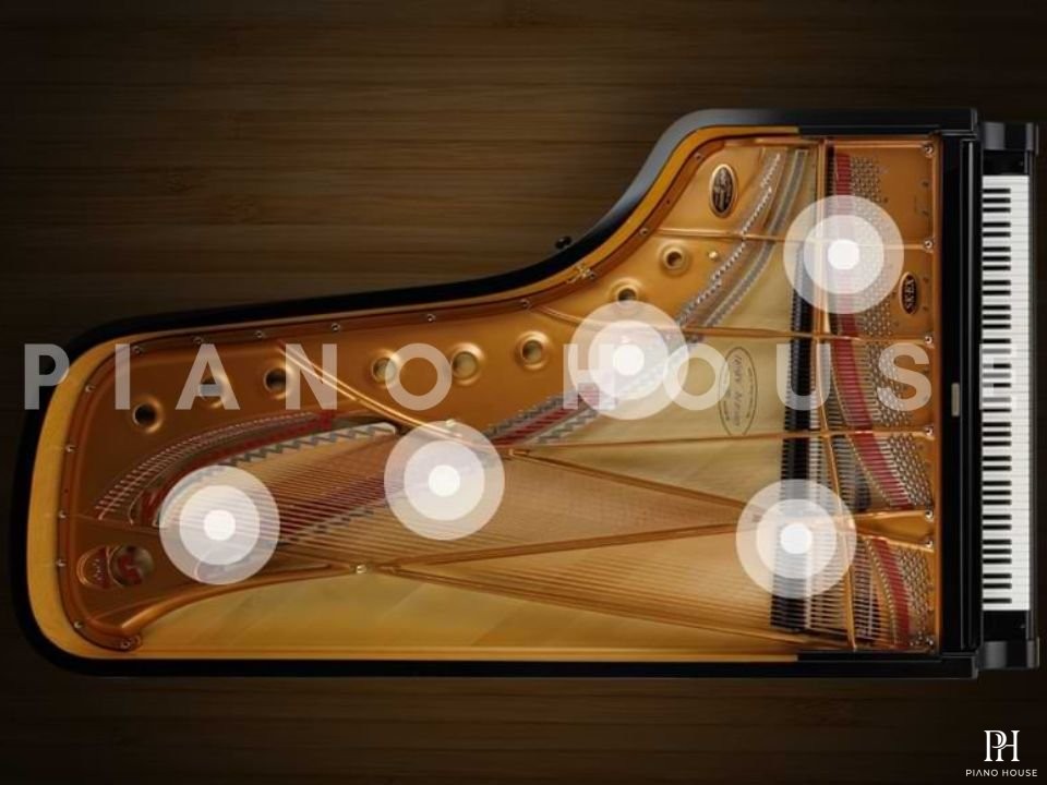 KAWAI Novus NV6