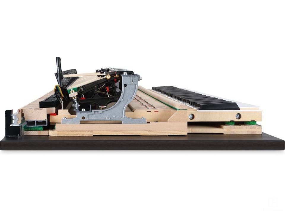 KAWAI NV10S Hybrid