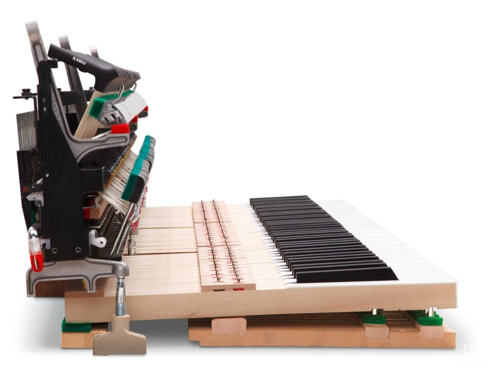 KAWAI NV5S Hybrid