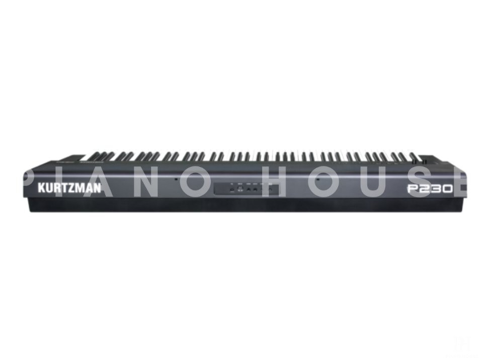 Kurtzman P230