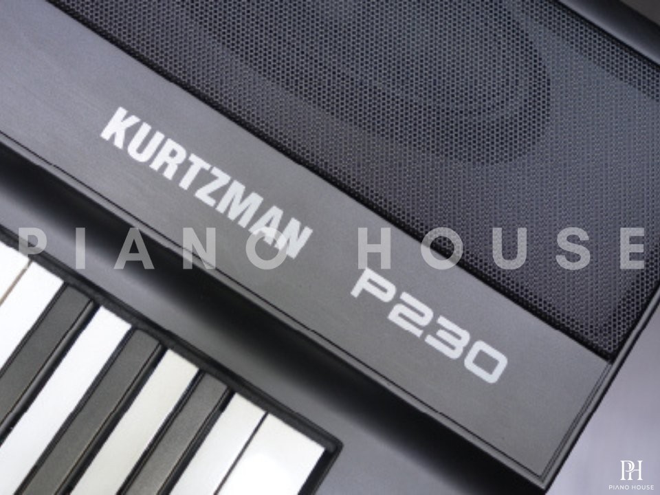 Kurtzman P230