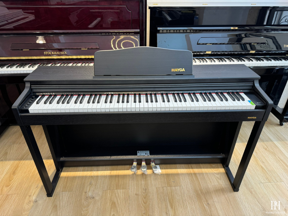 Mayga MP-17 R