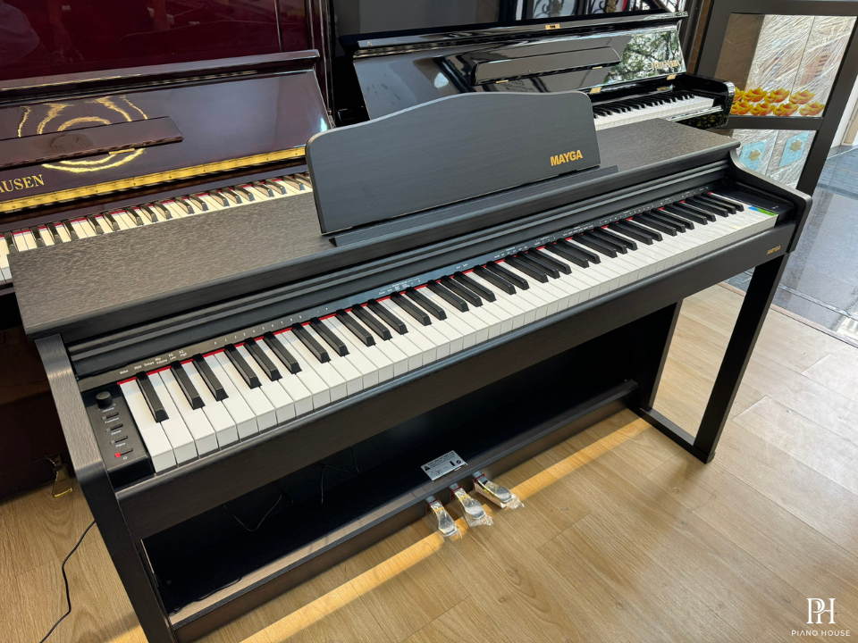 Mayga MP-17 R
