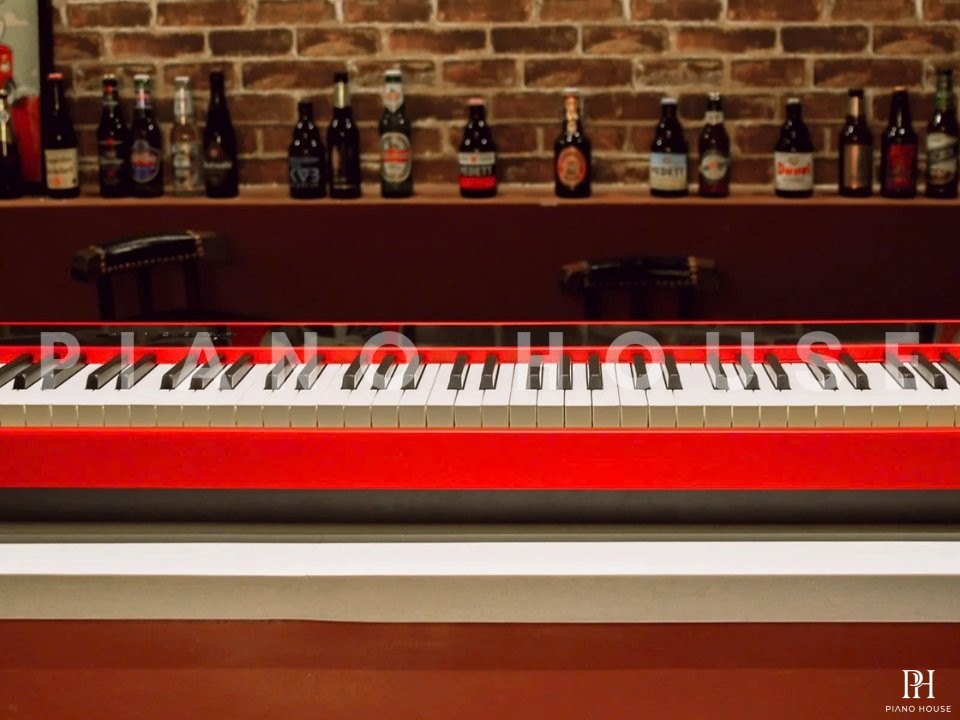 NUX NPK-10 Red (Only Piano)