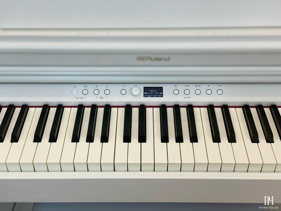 ROLAND RP-701 WH (Used)