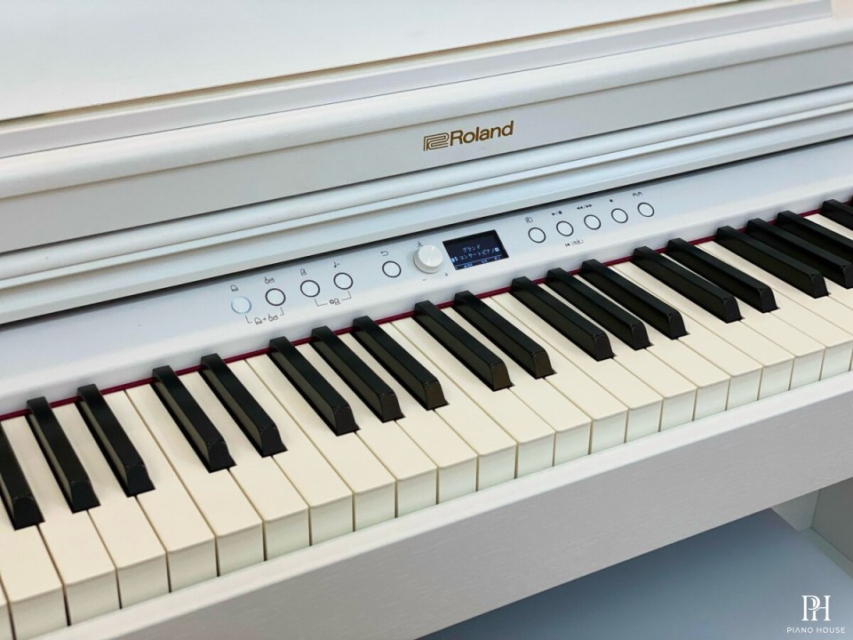 ROLAND RP-701 WH (Used)