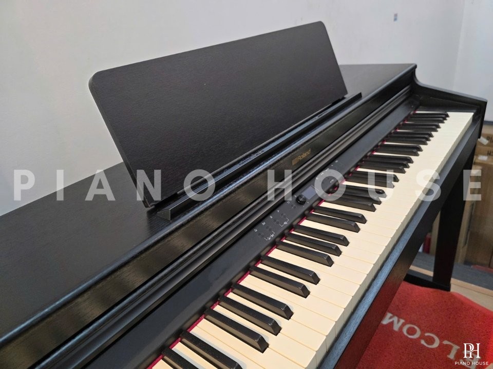 ROLAND RP-701 CB (USED)