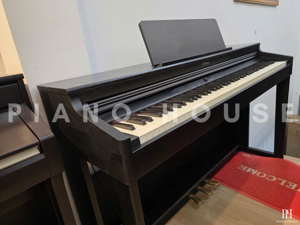 ROLAND RP-701 CB (USED)