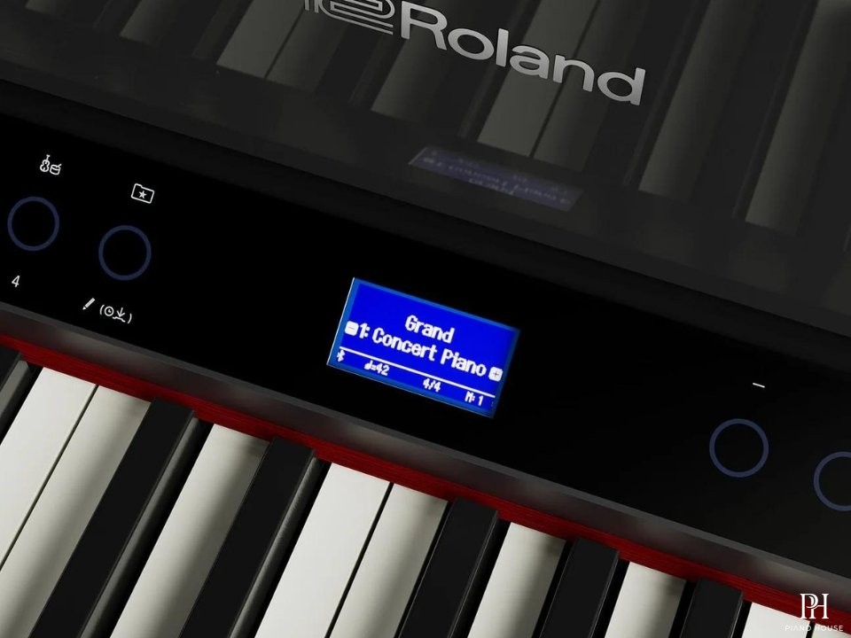 ROLAND LX-9 PE