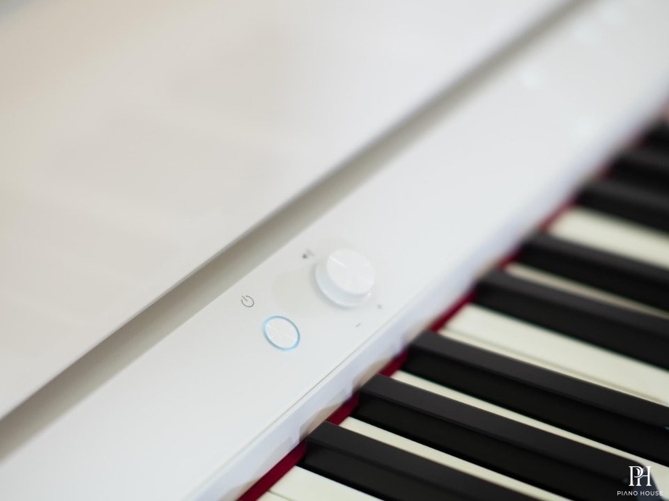 ROLAND LX-9 PW