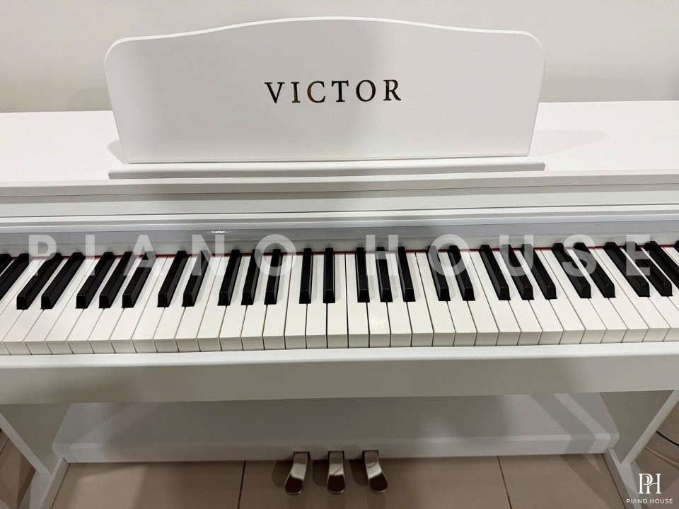 Piano Victor P800 (White)