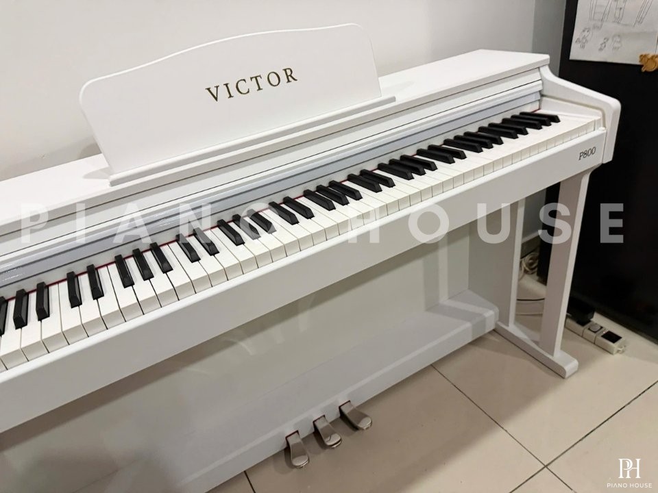 Piano Victor P800 (White)