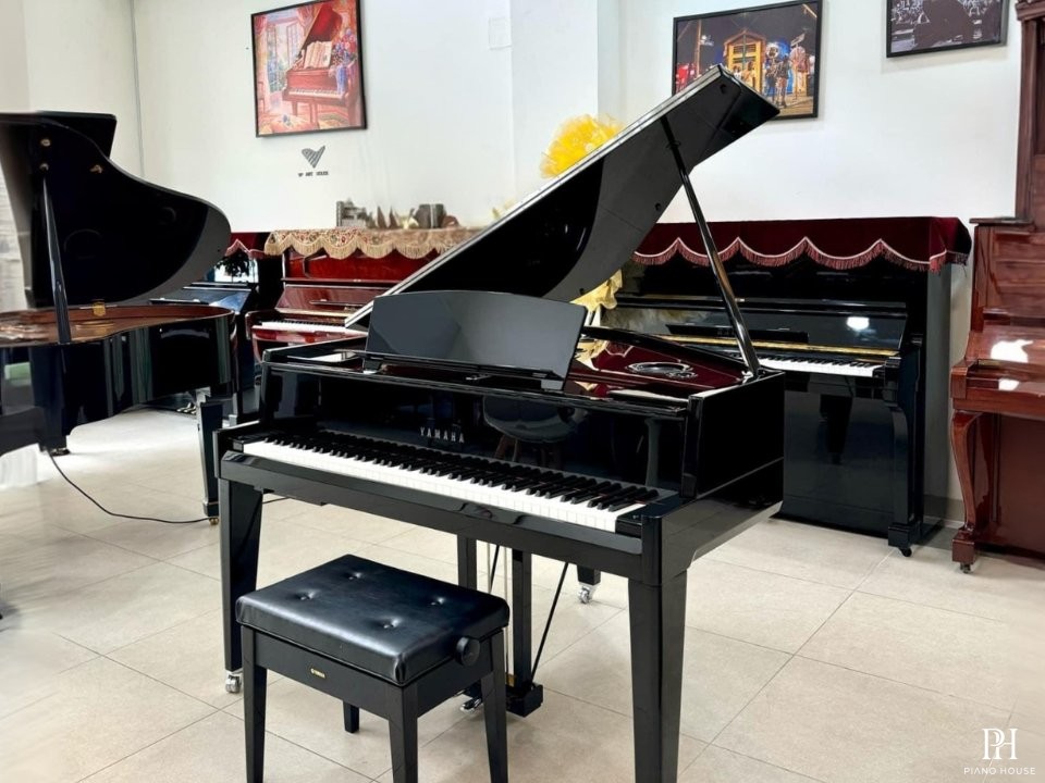 AVANT GRAND N3X (NEW)