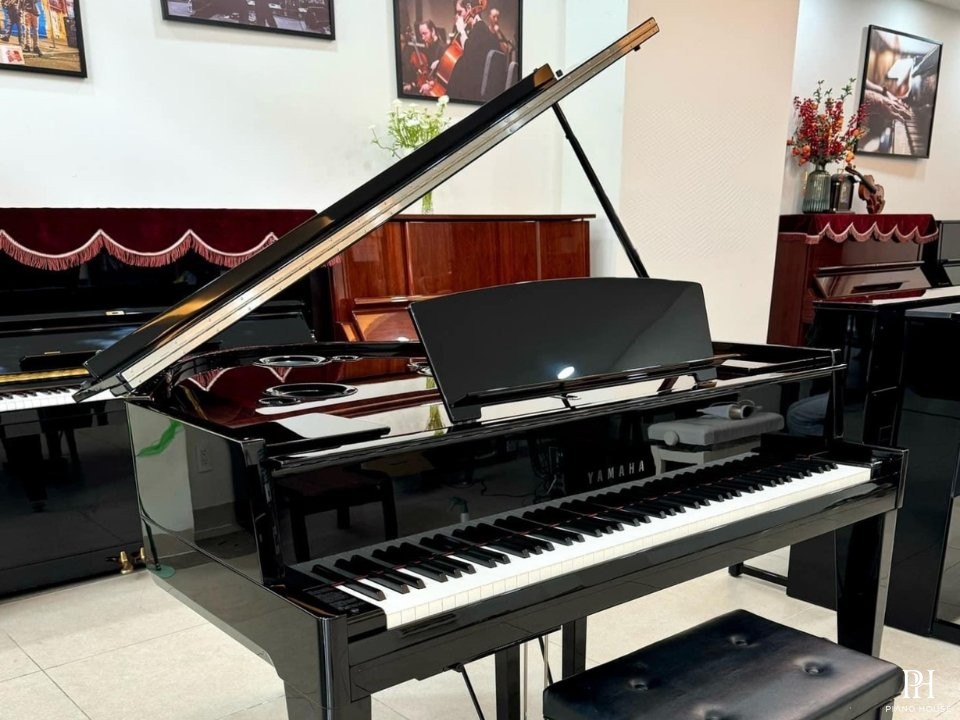 AVANT GRAND N3X (NEW)