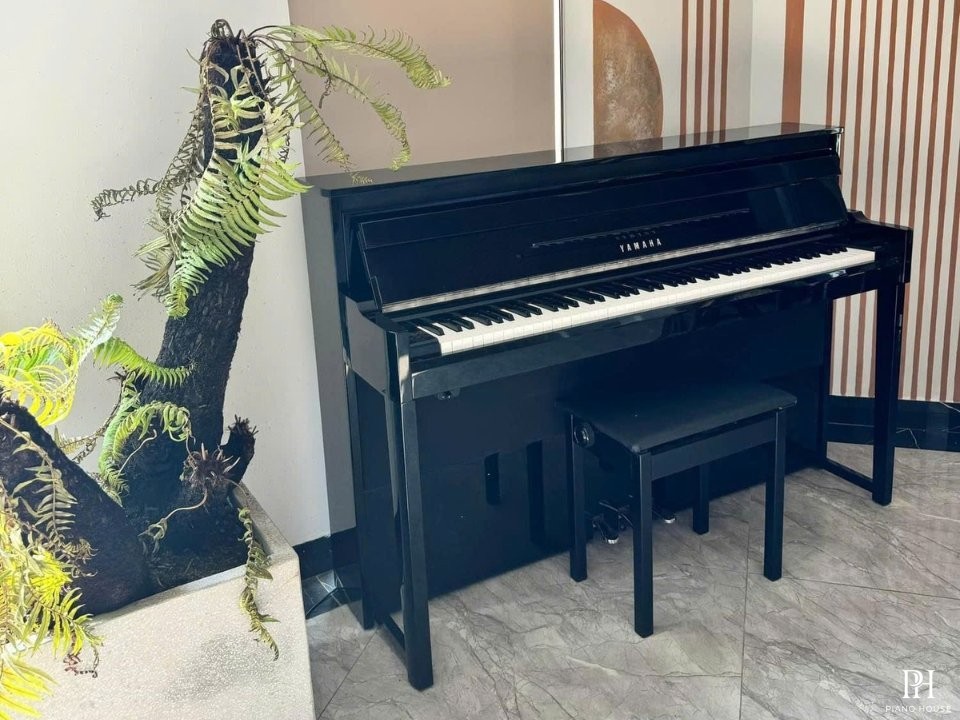 YAMAHA NU1 PE