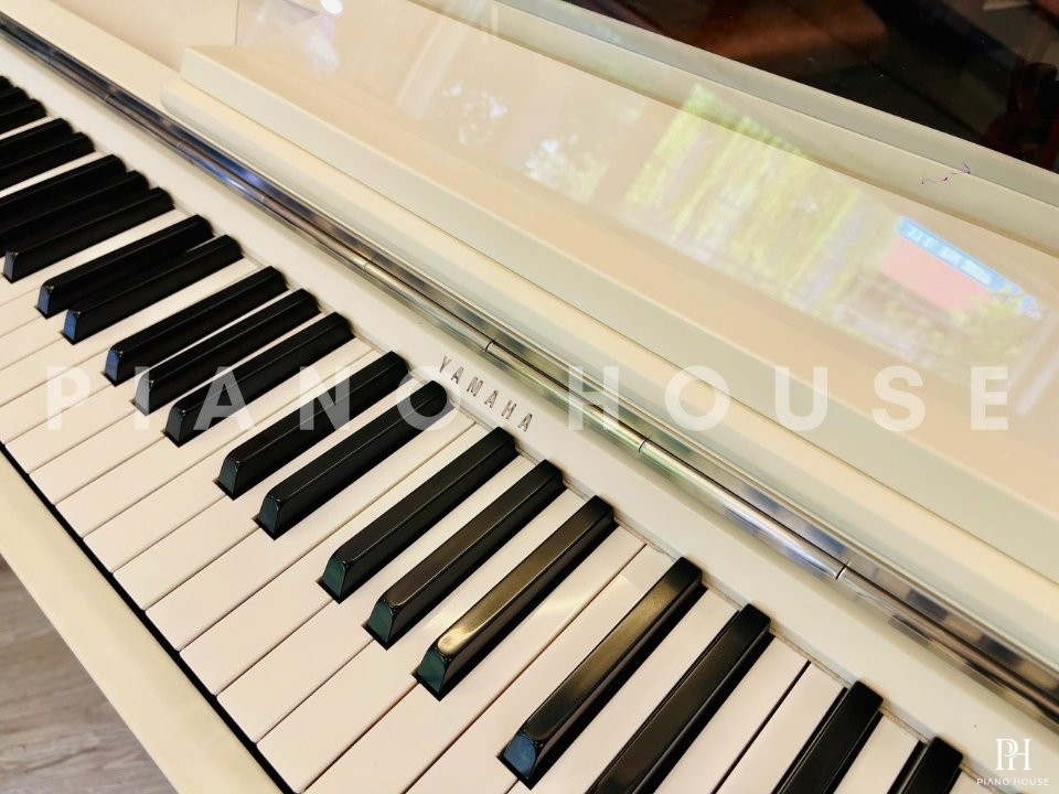 YAMAHA Modus R01
