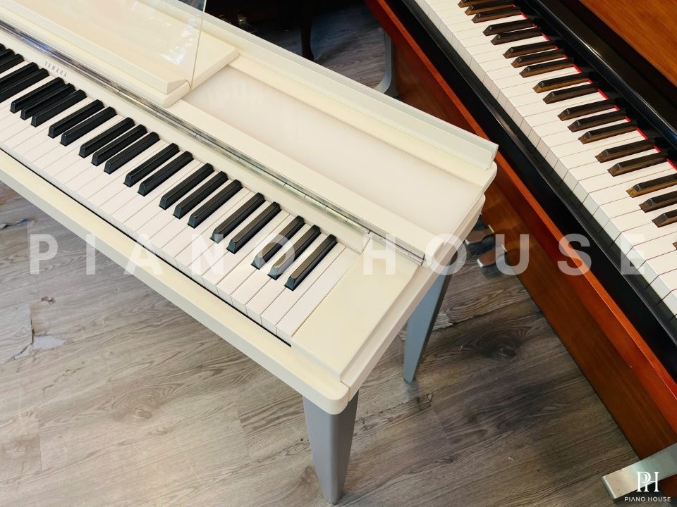 YAMAHA Modus R01