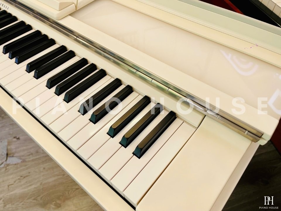 YAMAHA Modus R01