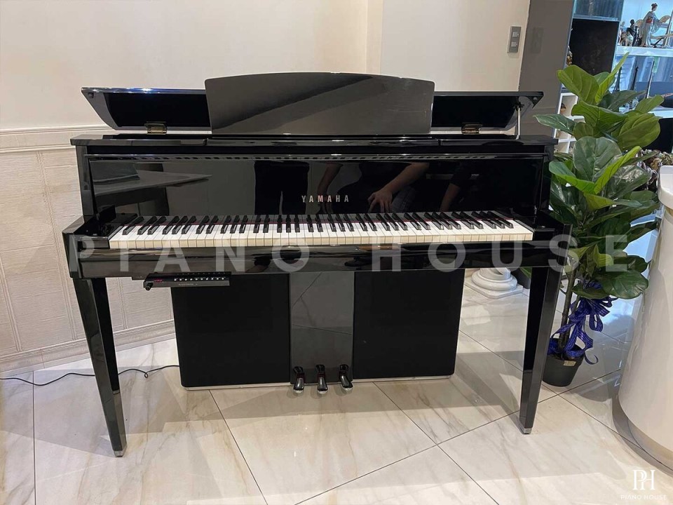 AVANT GRAND N2 (USED)