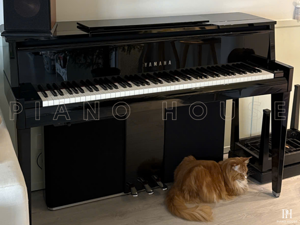 AVANT GRAND N2 (USED)